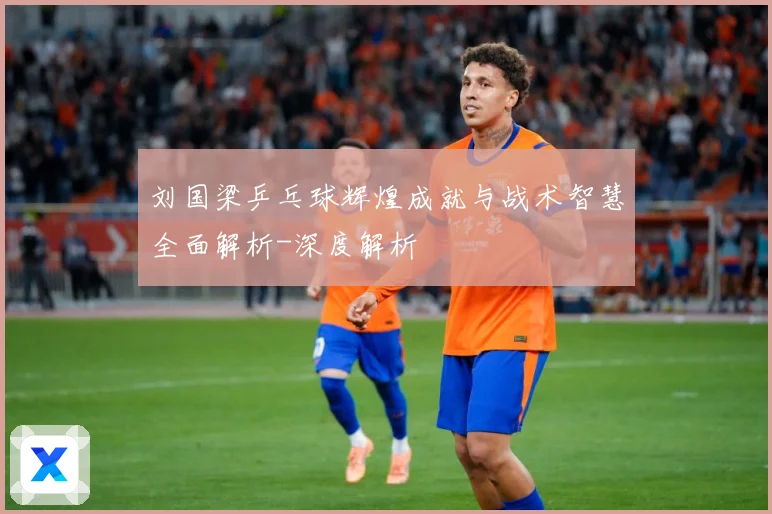 刘国梁乒乓球辉煌成就与战术智慧全面解析-深度解析